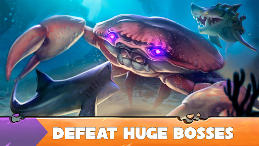 Аш акуланың эволюциясы